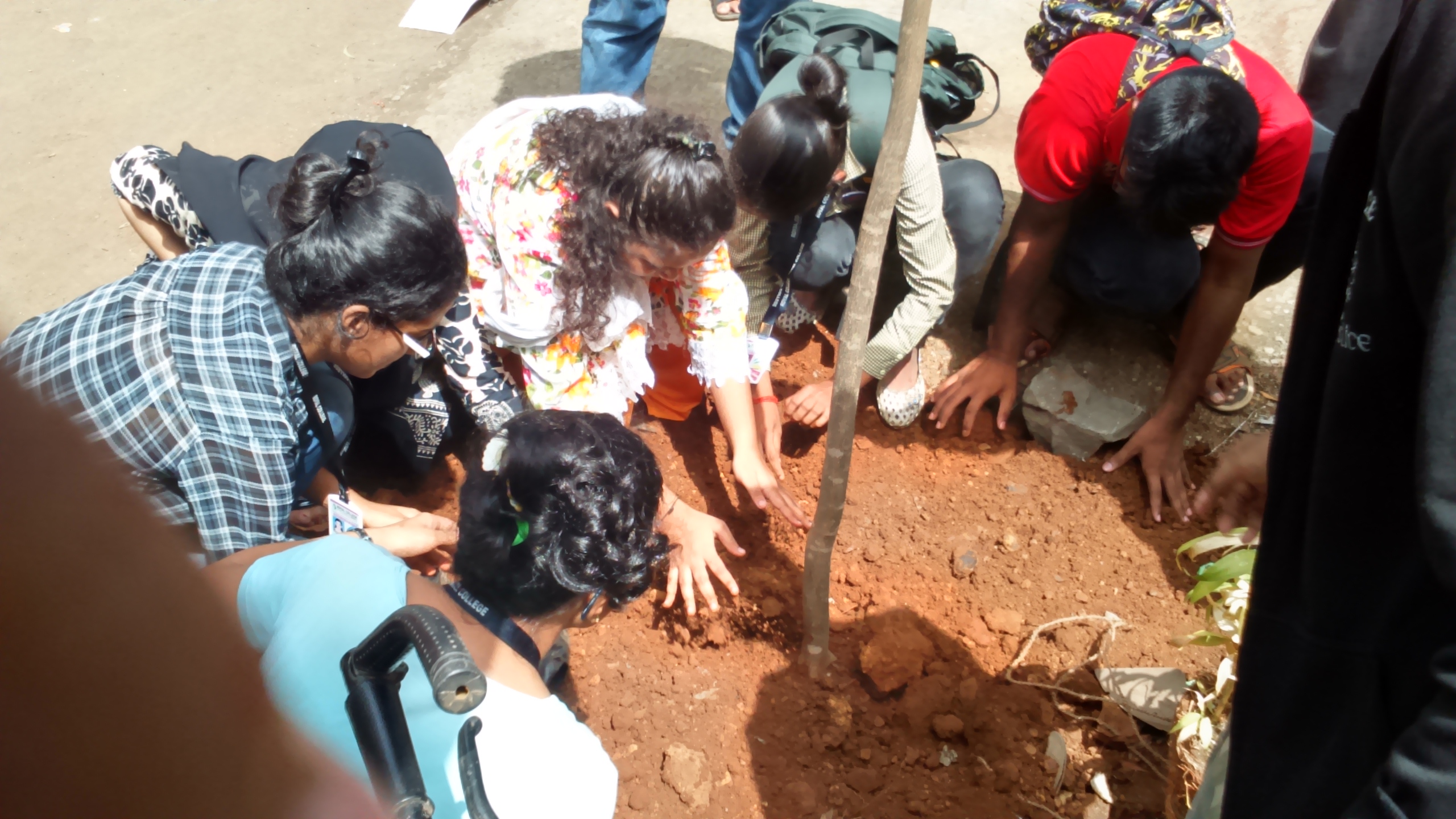 Tree plantation (2) – Royal College Mira Road